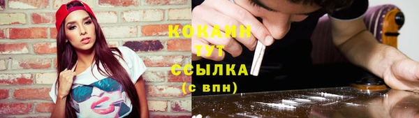 СК Вяземский