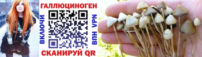 Псилоцибиновые грибы Psilocybine cubensis Купить где Крымск
