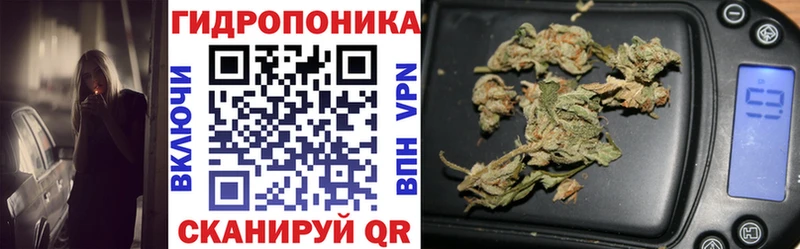 Купить где  Крымск  Бошки марихуана семена 